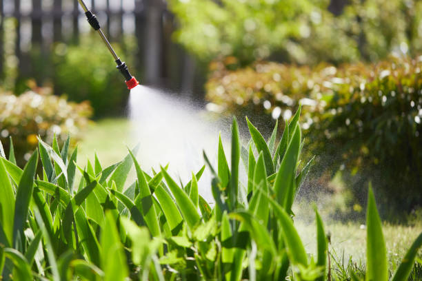24/7 Emergency Termite Control experts in Griffin, GA