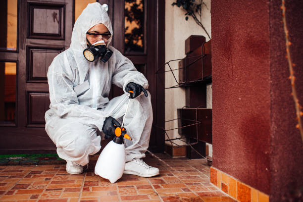 Reliable Termite Control contractor in Griffin, GA by Nex Pest Control